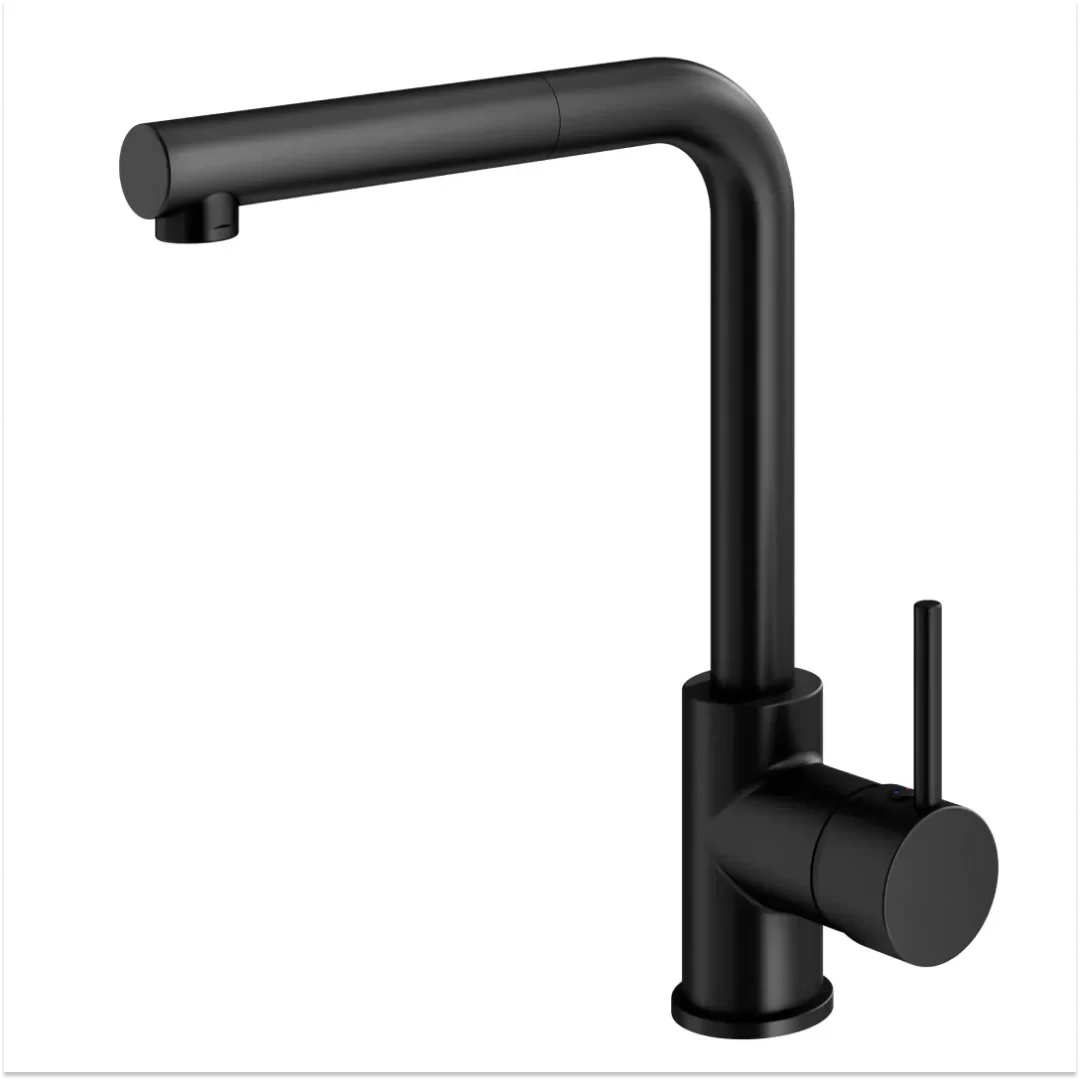 Kitchen faucet 2004 photo 27